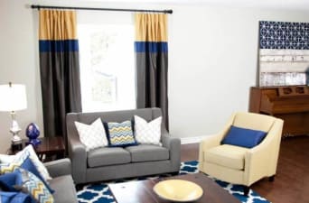 Basic Apartment Decorating 101 Rent Blog